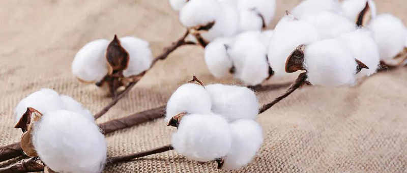 廣電計(jì)量紡織品檢測服務(wù)，與您共同致力國貨質(zhì)量提升。